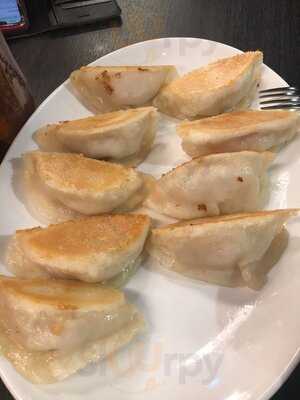 Dumplings Plus