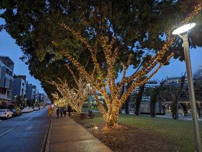 Gnocchi Gnocchi Brothers
