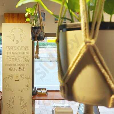 No Harm Done - Sustainable Cafe