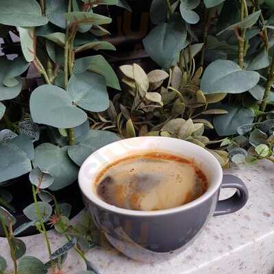 Wolfe Coffee Company