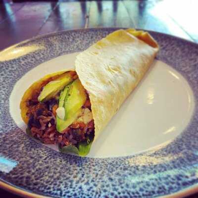 The Hummingbird Plant Based