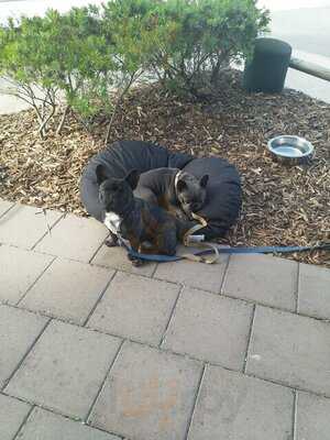 Rad's Cafe And Pizza