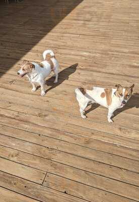 Thai Baan Chiang Restaurant : Fusion Of Tasmania