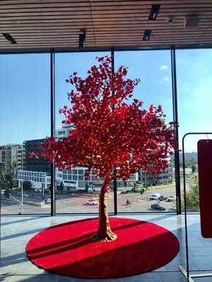 Little Bangkok Doncaster