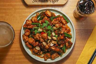 Sichuan Tiger