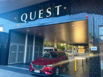 Mr Alpaca And Whatever