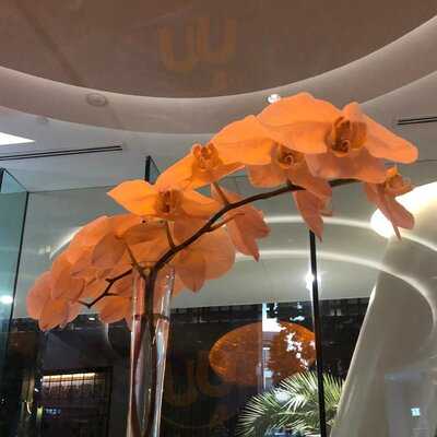 Signature Restaurant