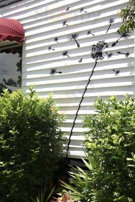 Dandelion & Driftwood