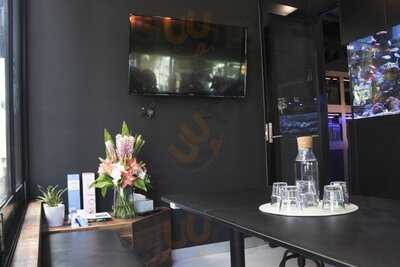 Reef Galleria Aquarium & Cafe