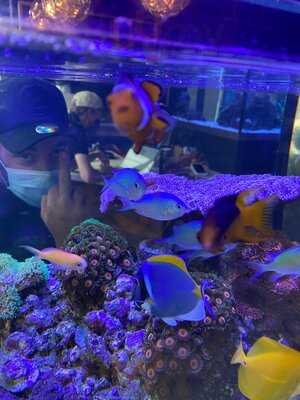Reef Galleria Aquarium & Cafe