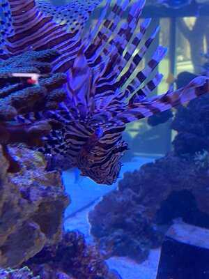 Reef Galleria Aquarium & Cafe