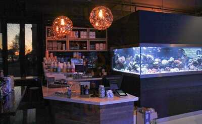 Reef Galleria Aquarium & Cafe