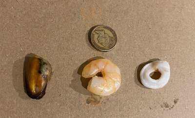 Slice Pizza And Pasta