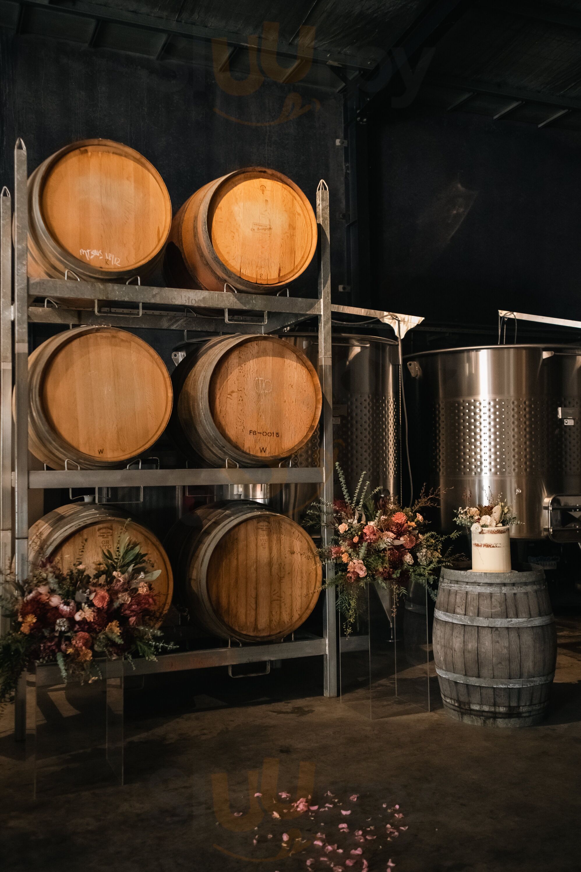 Jayden Ong Winery & Cellar Bar