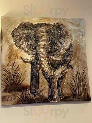 Shiraaz By Rajputana