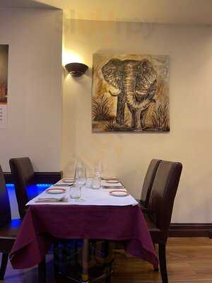 Shiraaz By Rajputana