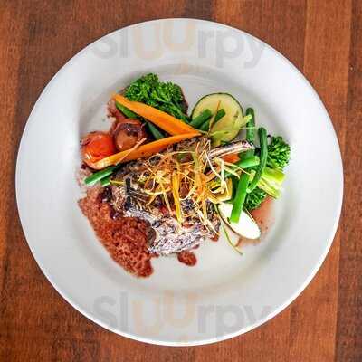 Casa Nova Italian Honeysuckle