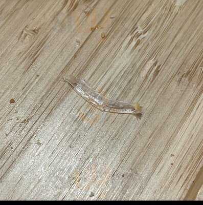 Bong Seoul Toast (sukbong)