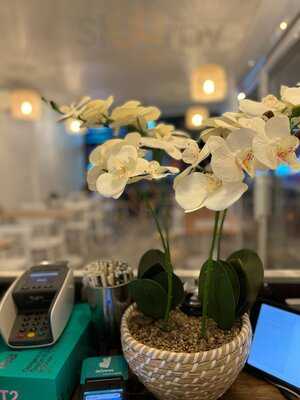 Cloe's Restaurant & Cafe