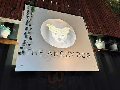 The Angry Dog