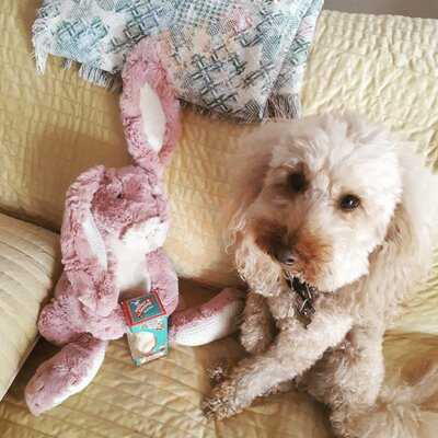 Romape' Cibo Da Strada