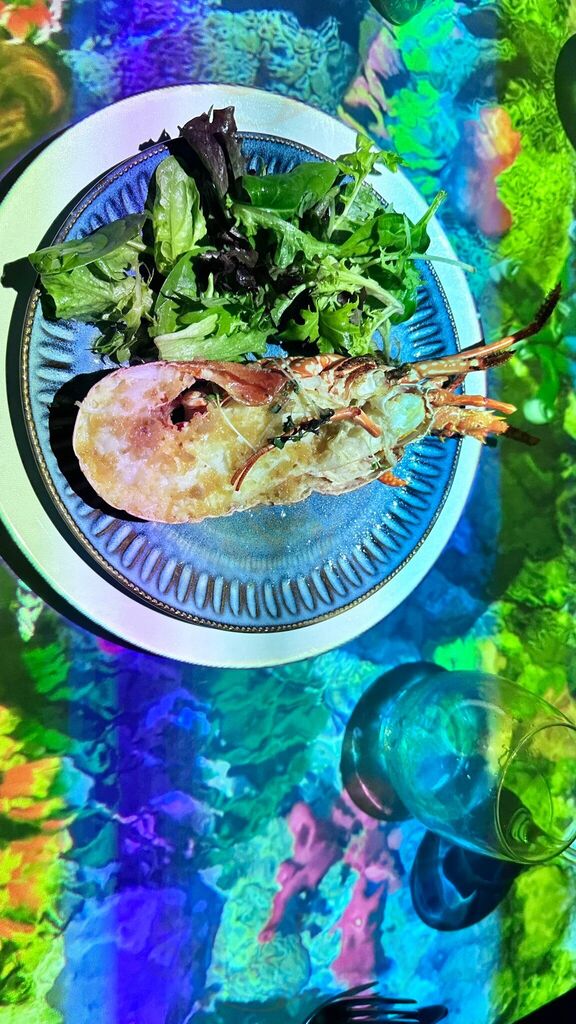 Le Petit Chef - Darwin