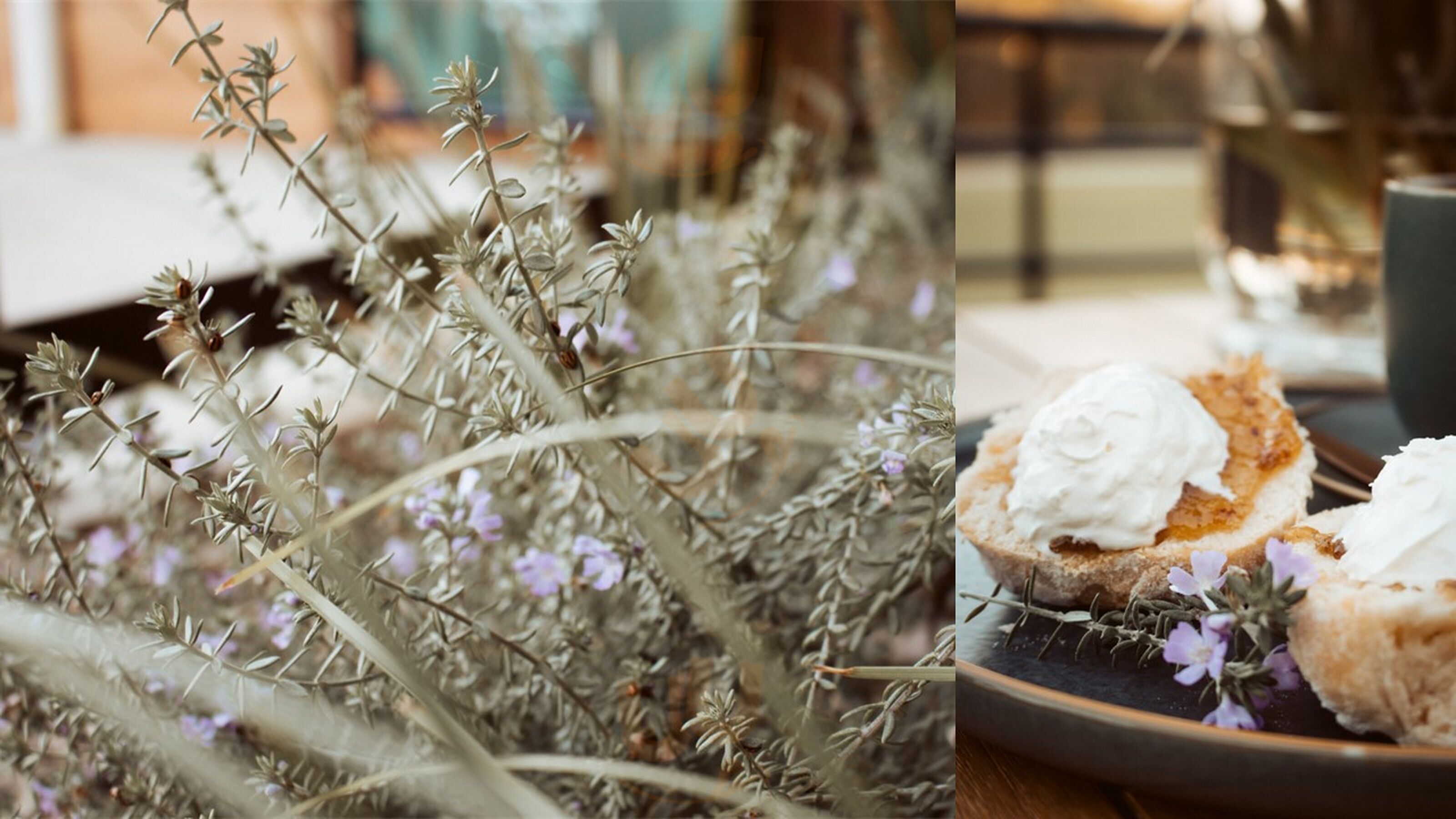 Caffeinity Coffee & Wine Co.