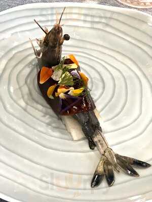 Magnolia Modern Chinese