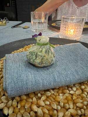 Magnolia Modern Chinese