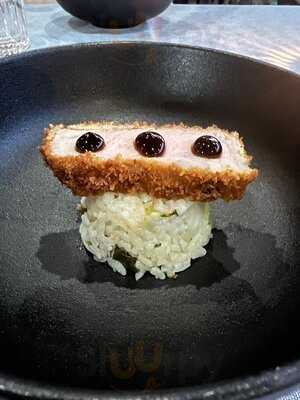 Magnolia Modern Chinese