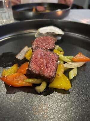 Magnolia Modern Chinese