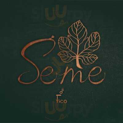 Seme Di Fico