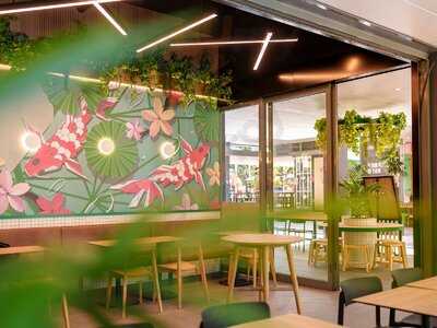 Motto Motto Japanese Kitchen - South Bank