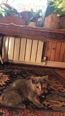 Manipura Ethic Local Food