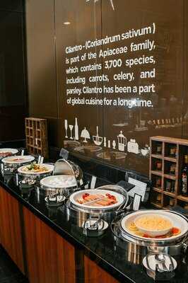 Cilantro