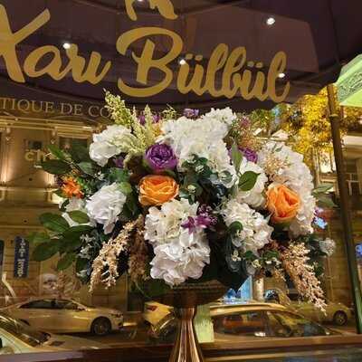 Xari Bulbul Chocolate House
