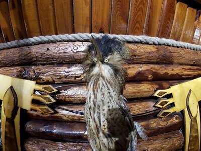 Ёлки Палки Ресторан