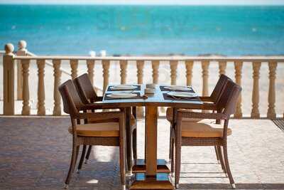 Istanbul Meyhane Shikh