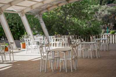 Istanbul Meyhane Shikh