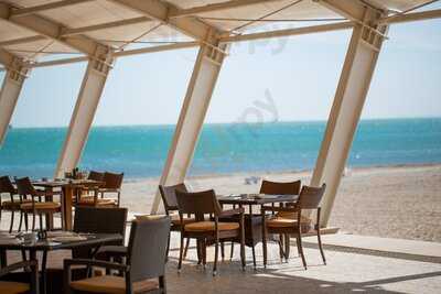 Istanbul Meyhane Shikh