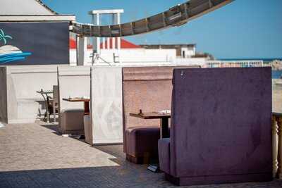 Istanbul Meyhane Shikh