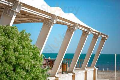 Istanbul Meyhane Shikh