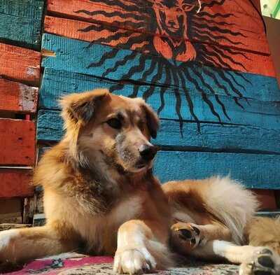 Emalatkhana Art Space & Cafe