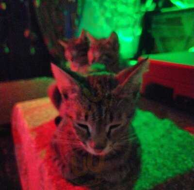 Emalatkhana Art Space & Cafe