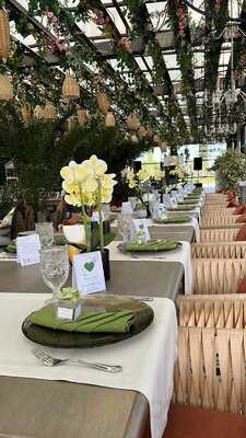 Mydom U Nargiz Terrace