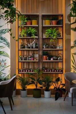 Cafe Botanist