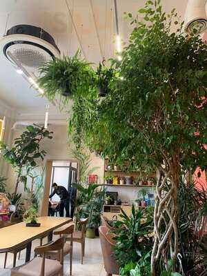 Cafe Botanist