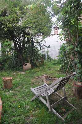 Photo 4