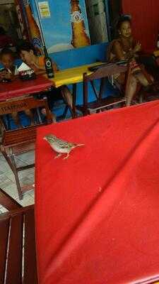 Restaurante Gabi Biel