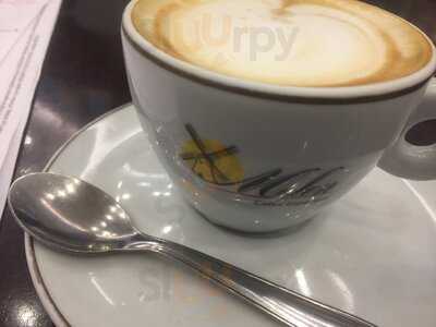 Molen Cafés Especiais